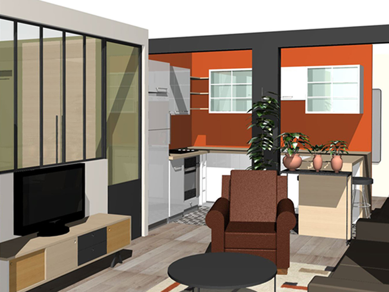 Vue sur cuisine et salon